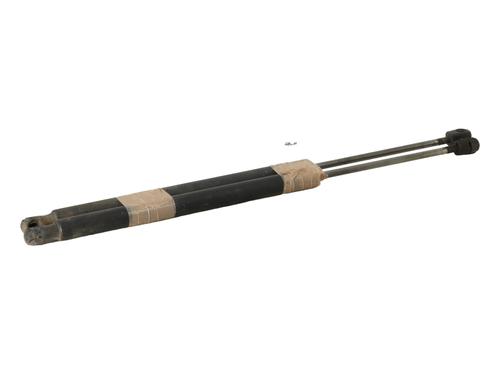 Used Tailgate lift support RENAULT SCÉNIC II (JM0/1_) 1.6 (JM0C, JM0J, JM1B) (113 hp) 29165562