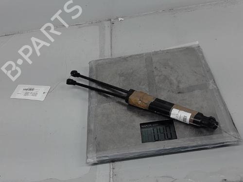 Hood lift support RENAULT KANGOO Express (FW0/1_) 1.5 dCi 75 (FW07, FW10, FW04) | BP21368066C139 