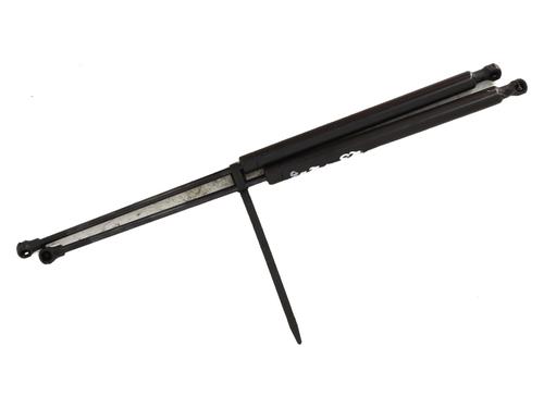 Tailgate lift support PEUGEOT 206+ (2L_, 2M_) 1.1 | BP29117923C138 
