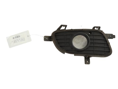 Gitter für MERCEDES-BENZ A-CLASS (W169) A 180 CDI (169.007, 169.307) (109 hp) 30542476