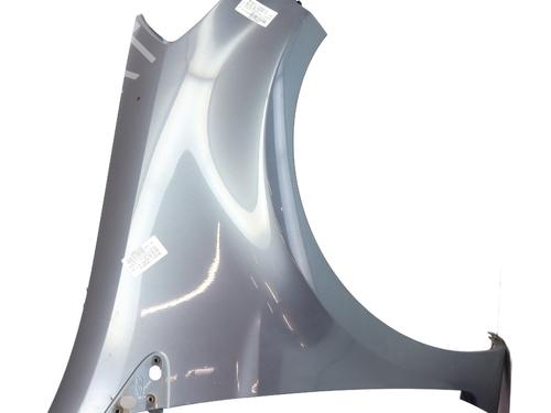 Used Right front fenders RENAULT CLIO III (BR0/1, CR0/1) 1.2 16V Hi-Flex (BR1U, CR1U) (75 hp) 29836005