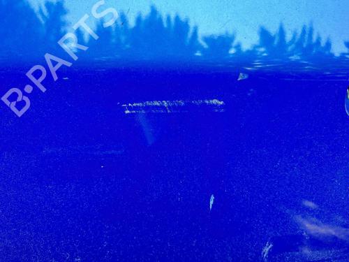 Left front door RENAULT AVANTIME (DE0_) 2.2 dCi (DE01) | BP21289752C2 