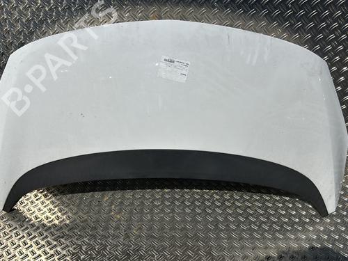 Used Hood OPEL MERIVA B MPV (S10) 1.6 CDTI (75) (110 hp) 24117241