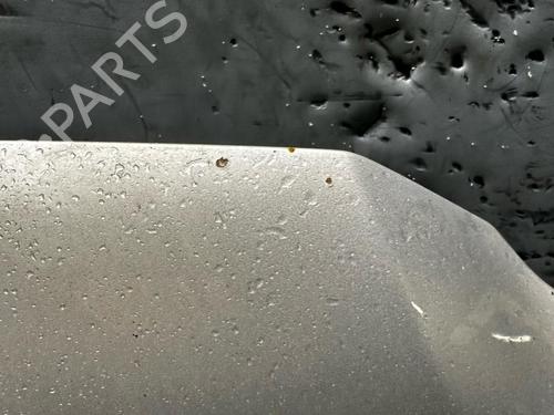 Capot Capot VW CADDY III Box Body/MPV (2KA, 2KH, 2CA, 2CH) 1.9 TDI (105 hp) 21291449 21291449