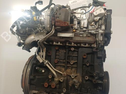 Engine RENAULT KOLEOS I (HY_) 2.0 dCi (HY0K) | BP33450251M1 - Image 3