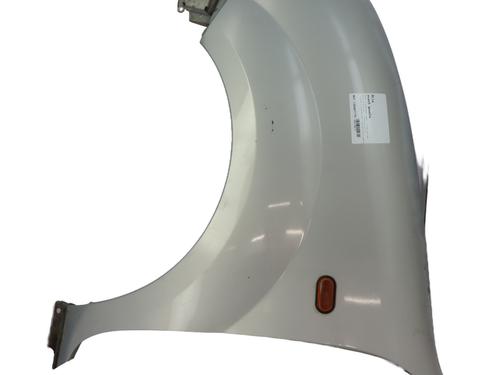 Guarda-lamas esquerdo Guarda-lamas esquerdo RENAULT KANGOO (KC0/1_) [1997-2026] 36171768 36171768