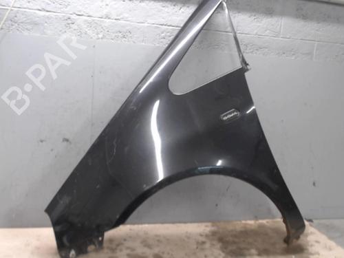 Left front fenders VW SHARAN (7M8, 7M9, 7M6) 1.9 TDI | BP21301879C41 