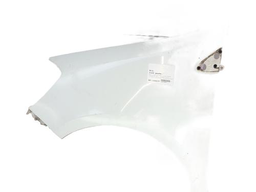 Used Left front fenders RENAULT CLIO III (BR0/1, CR0/1) 1.5 dCi (BR17, CR17) (86 hp) 31064965