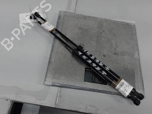 Tailgate lift support DACIA SANDERO II TCe 90 (B8M1, B8MA, B8AC) | BP21300187C138 