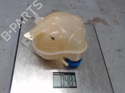 Used Expansion tank FIAT PUNTO EVO (199_) 1.3 D Multijet (199AXC1A, 199BXC1A, 199AXT1A, 199BXT1A) (75 hp) 21312842