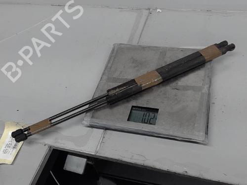Tailgate lift support LAND ROVER RANGE ROVER SPORT I (L320) 3.6 D 4x4 | BP21294935C138 