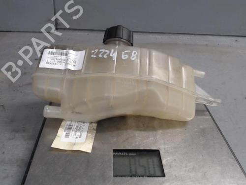 Expansion tank RENAULT CLIO III (BR0/1, CR0/1) 1.2 16V (BR0P, CR0P) | BP21311631C120 