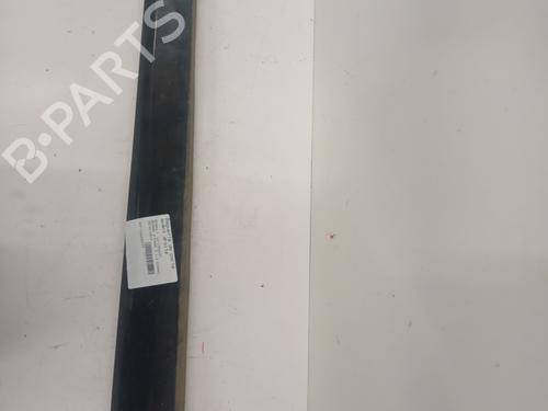 door-moulding-trim-renault-megane-iii-hatchback-bz01_-b3_-2008-36171538 main image