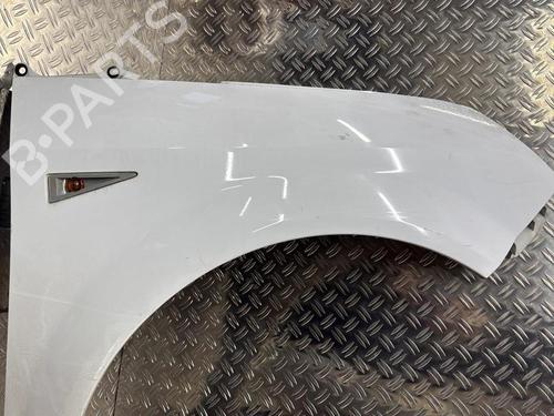 Used Right front fenders RENAULT SCÉNIC II (JM0/1_) 1.5 dCi (JM1E, JM16) (106 hp) 24329518