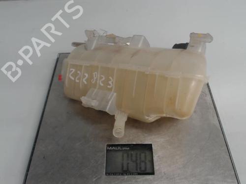 Used Expansion tank RENAULT KANGOO Express (FW0/1_) 1.5 dCi 70 (FW0A, KW0V) (68 hp) 21291801