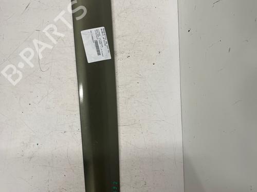 door-moulding-trim-citroen-berlingo-multispace-b9-2008-37662095 main image