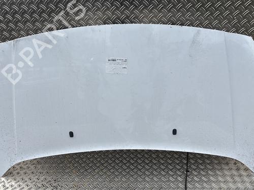 Used Hood FORD TRANSIT CONNECT V408 Box Body/MPV 1.5 TDCi (120 hp) 25741703