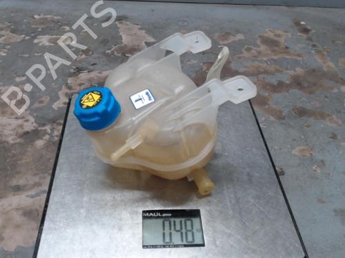 Used Expansion tank FIAT PUNTO EVO (199_) 1.2 (69 hp) 21299087