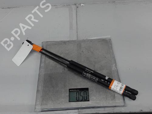 Gasdæmper bagklap FIAT STILO (192_) 1.9 JTD (192_XE1A) | BP21367950C138 