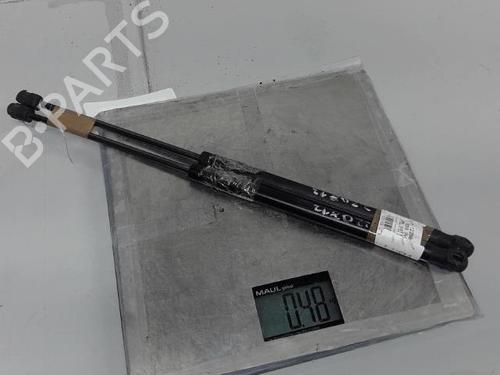 Tailgate lift support MINI MINI (R56) One D | BP21319181C138 