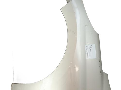 Used Left front fenders PEUGEOT 207 (WA_, WC_) 1.6 HDi (90 hp) 28474620