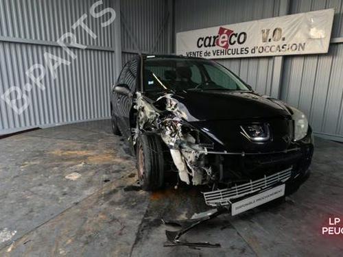 Steering pump PEUGEOT 206+ (2L_, 2M_) 1.1 | BP31371346M99 