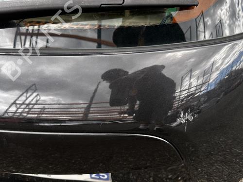 Tailgate NISSAN JUKE (F15) 1.5 dCi | BP21316669C6