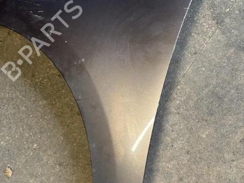 Used Left front fenders RENAULT SCÉNIC III (JZ0/1_) 1.9 dCi (JZ0J, JZ1J, JZ1K, JZ1S) (131 hp) 21293849