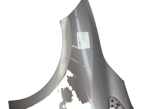 left-front-fenders-renault-megane-iii-hatchback-bz01_-b3_-2008-39644117 main image