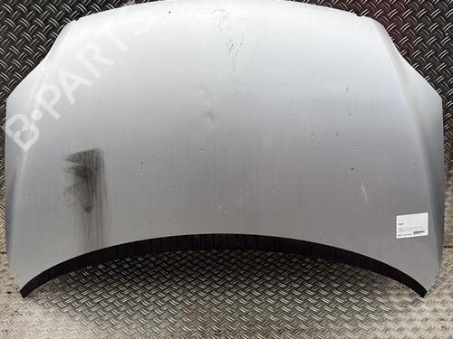 Panser VW GOLF PLUS V (5M1, 521) 1.6 TDI (105 hp) 29877772