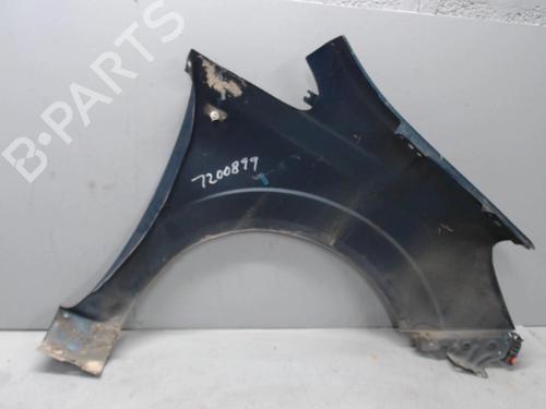 Left front fenders OPEL ZAFIRA / ZAFIRA FAMILY B (A05) 1.9 CDTI (M75) | BP21366737C41 