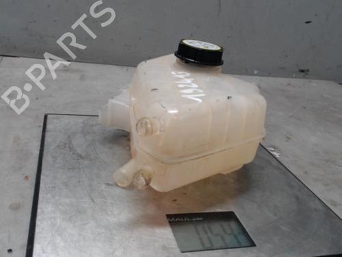 Expansion tank FORD FIESTA VI (CB1, CCN) 1.4 | BP21306254C120 