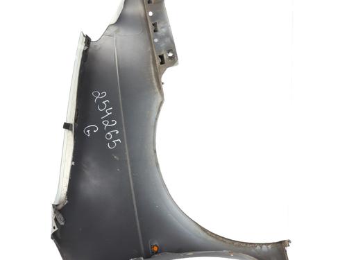 Left front fenders RENAULT SCÉNIC I MPV (JA0/1_, FA0_) 1.6 (JA00, JA16, JA15, JA19, JA1V, JA2B, JA2C, JA0B,... | BP30861294C41