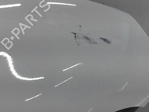Forskærm Højre Forskærm Højre RENAULT SCÉNIC III (JZ0/1_) 1.9 dCi (JZ0J, JZ1J, JZ1K, JZ1S) (131 hp) 21316451 21316451