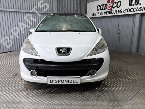 Tailgate PEUGEOT 207 SW (WK_) 1.6 HDi | BP31290310C6 