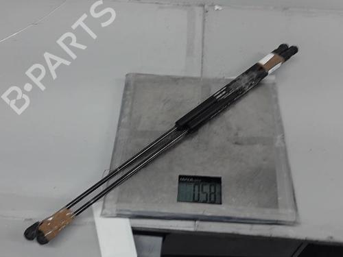 Tailgate lift support FIAT CROMA (194_) 1.9 D Multijet (194AXC1B, 194AXC12) | BP21364257C138 