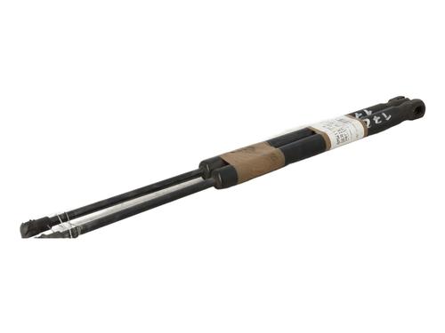 Tailgate lift support BMW 1 (E87) 118 d | BP21321068C138 
