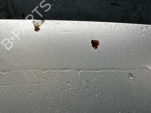 Used Hood VW CADDY III Box Body/MPV (2KA, 2KH, 2CA, 2CH) 1.9 TDI (105 hp) 21291449