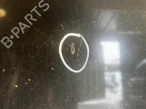 Used Hood VW PASSAT B6 (3C2) 1.9 TDI (105 hp) 21370209