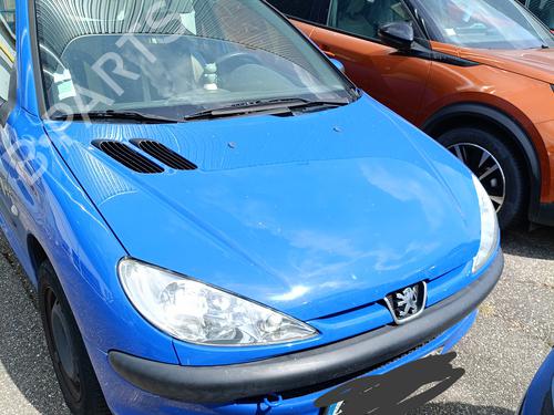 Front left panel PEUGEOT 206 Hatchback (2A/C) 1.1 i | BP27369200C58 - Image 1