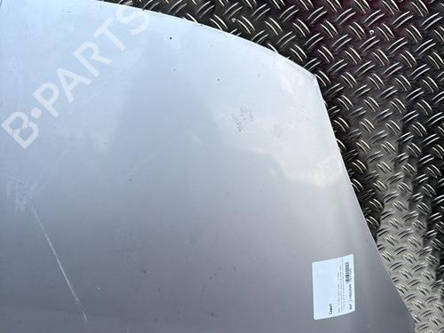 Capot Capot RENAULT SCÉNIC III (JZ0/1_) 1.5 dCi (110 hp) 29700765 29700765