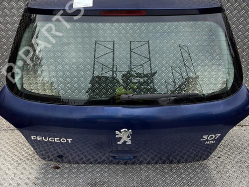 Bakluke CC/Kombi-Kupé PEUGEOT 307 (3A/C) 2.0 HDi 110 | BP29371750C6 