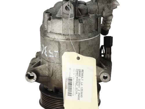 Compressor A/C RENAULT GRAND SCÉNIC II (JM0/1_) 2.0 dCi (JM1K) | BP29449196M34 