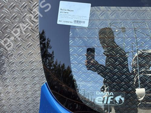 Used Tailgate Tailgate DACIA SANDERO II TCe 90 (B8M1, B8MA, B8AC) (90 hp) 33657153 33657153