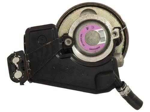 Steering pump PEUGEOT 206+ (2L_, 2M_) 1.1 | BP31371346M99 