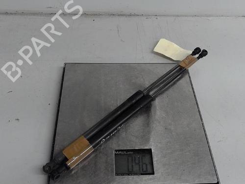Tailgate lift support CITROËN C3 II (SC_) 1.4 HDi 70 (SC8HZC, SC8HR0, SC8HP4) | BP21292134C138 