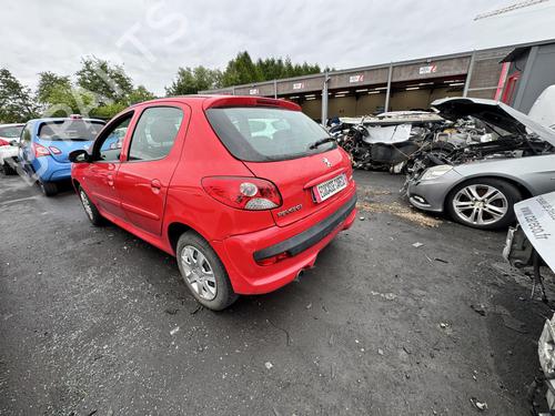 Left mirror PEUGEOT 206+ (2L_, 2M_) 1.4 HDi eco 70 | BP21298202C26