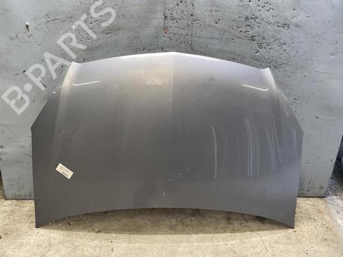 Used Hood OPEL ZAFIRA / ZAFIRA FAMILY B (A05) 1.9 CDTI (M75) (120 hp) 21315382