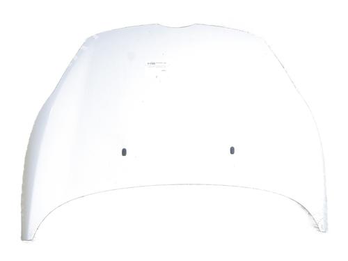 hood-ford-fiesta-vi-cb1-ccn-2008-34191900 main image