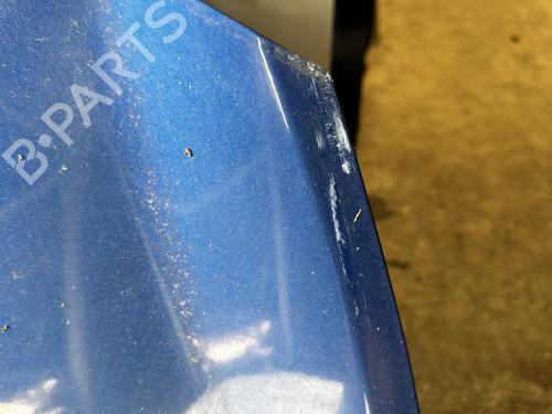 Hood RENAULT CLIO III (BR0/1, CR0/1) 1.2 16V Hi-Flex (BR1U, CR1U) | BP21307046C1 